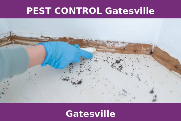 PEST CONTROL Gatesville